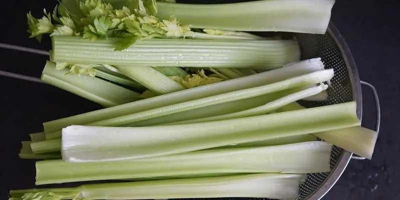 Storing Celery After Harvesting