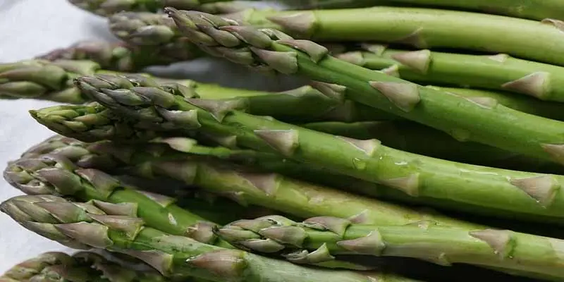 When To Harvest Asparagus