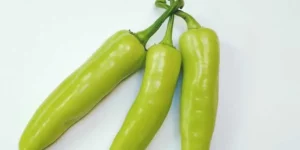When To Harvest Banana Peppers