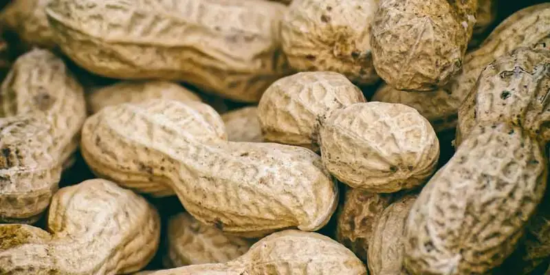 When To Harvest Peanuts